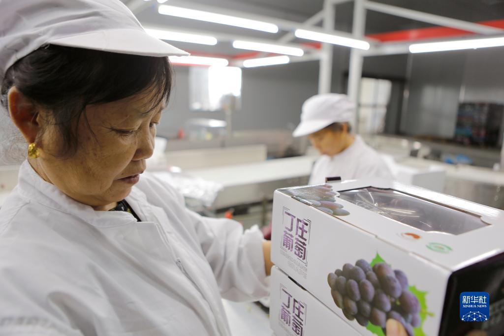 mg游戏官网